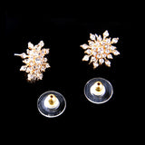 Snow Flake Earrings - 2 Colors