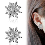 Snow Flake Earrings - 2 Colors