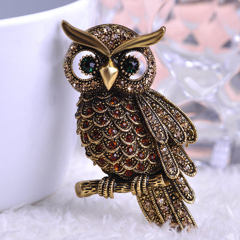 Big Owl Brooch
